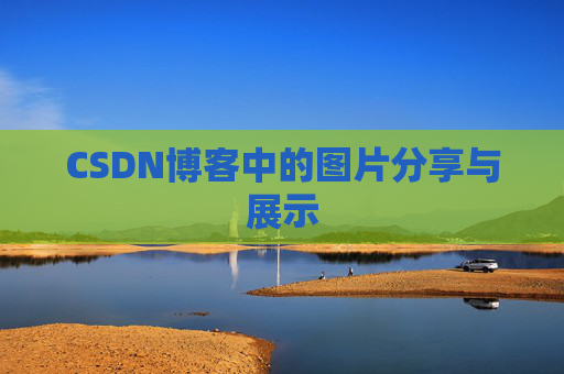 CSDN博客中的图片分享与展示